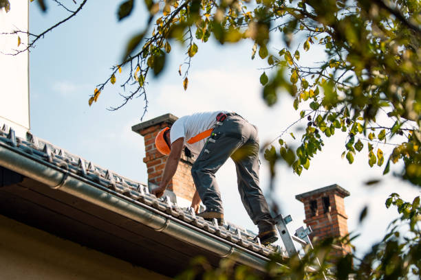 Best Roof Gutter Cleaning  in Carlisle, KY